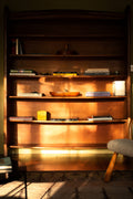 A unique sculptural Rudolf Steiner Book shelve chisel made in oak, 1905 - Price on Demand